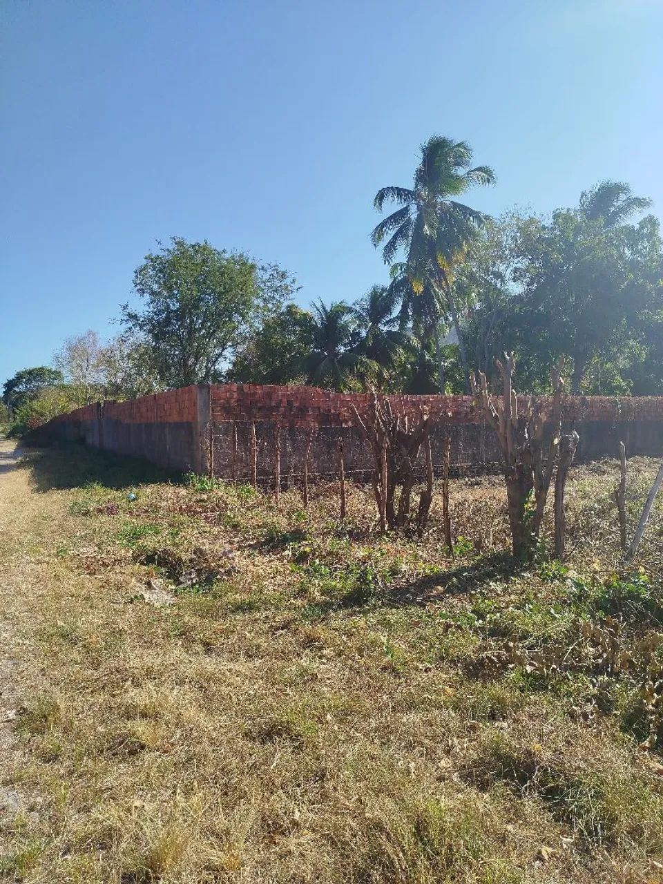 LOTE NA ÁREA CENTRAL DE PACATUBA - Foto 5