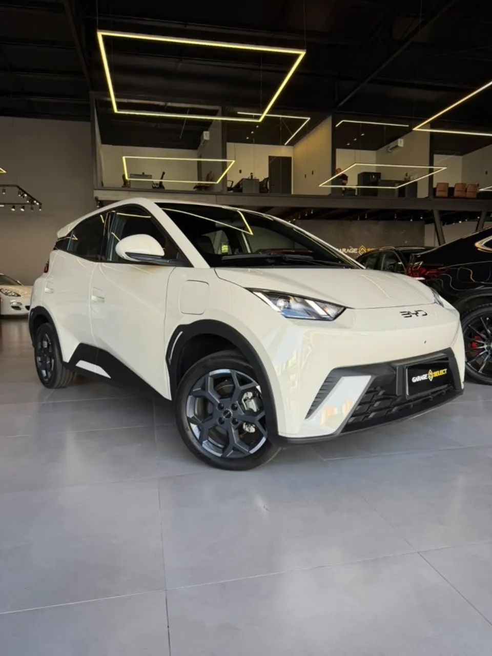 BYD Dolphin Mini (Elétrico) 2026 - Foto 4