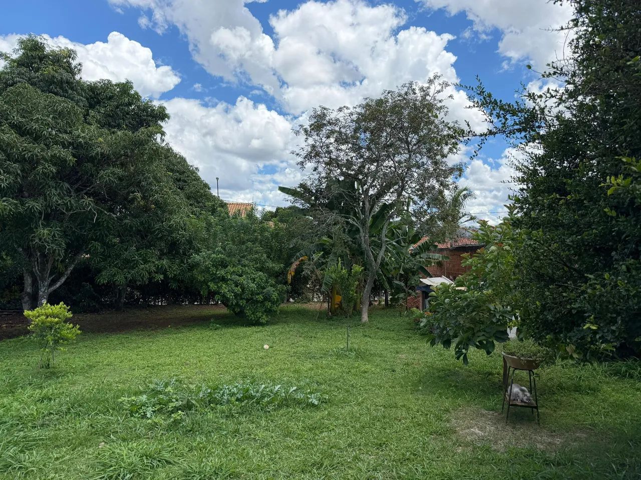 Foto - Brasília - Setor Habitacional Arniqueira (Águas Claras)