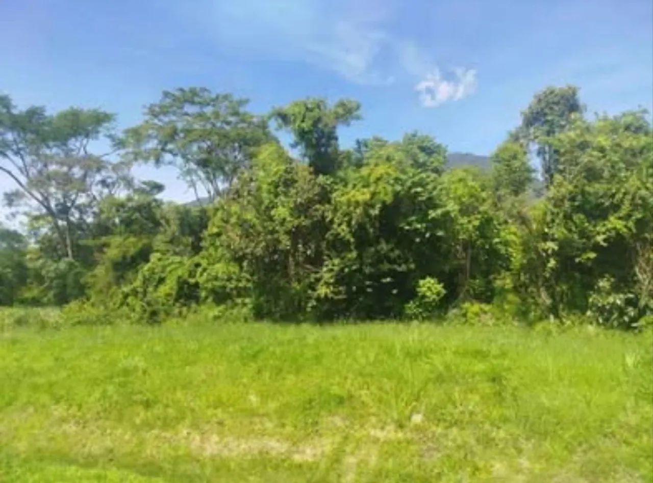 Terreno em Garuva-SC.  - Foto 5