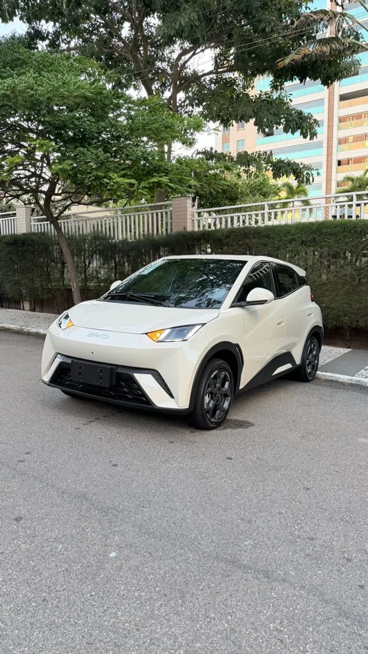 BYD Dolphin Mini (Elétrico) 2027 - Foto 2