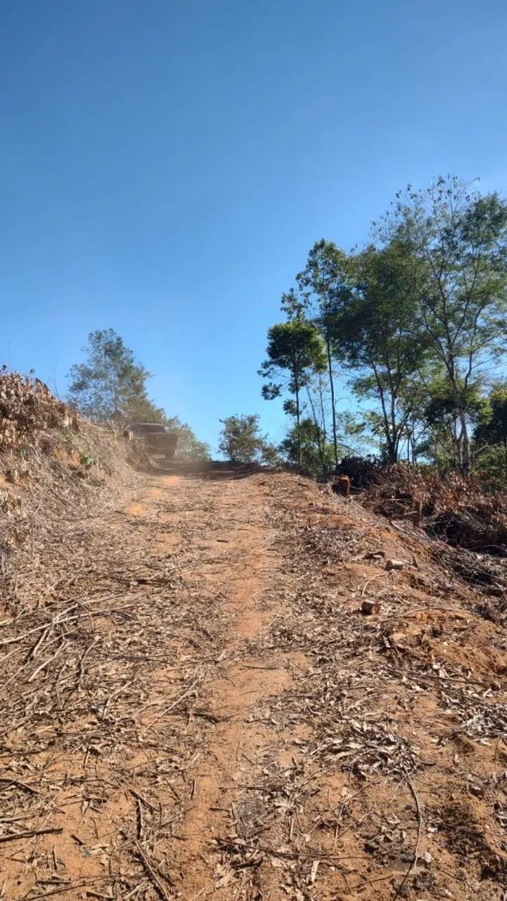 TERRENO EM MELGAÇO ES  - Foto 4