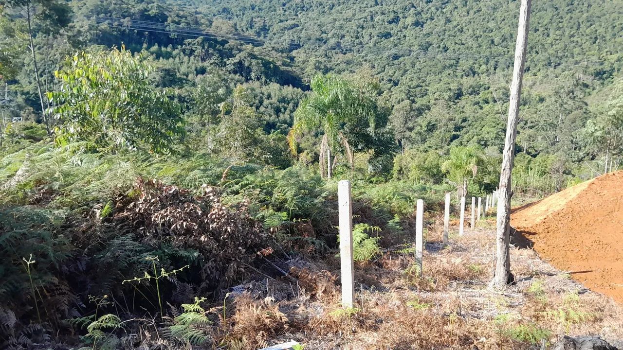 Chácara com ou sem Chalé  - Foto 5