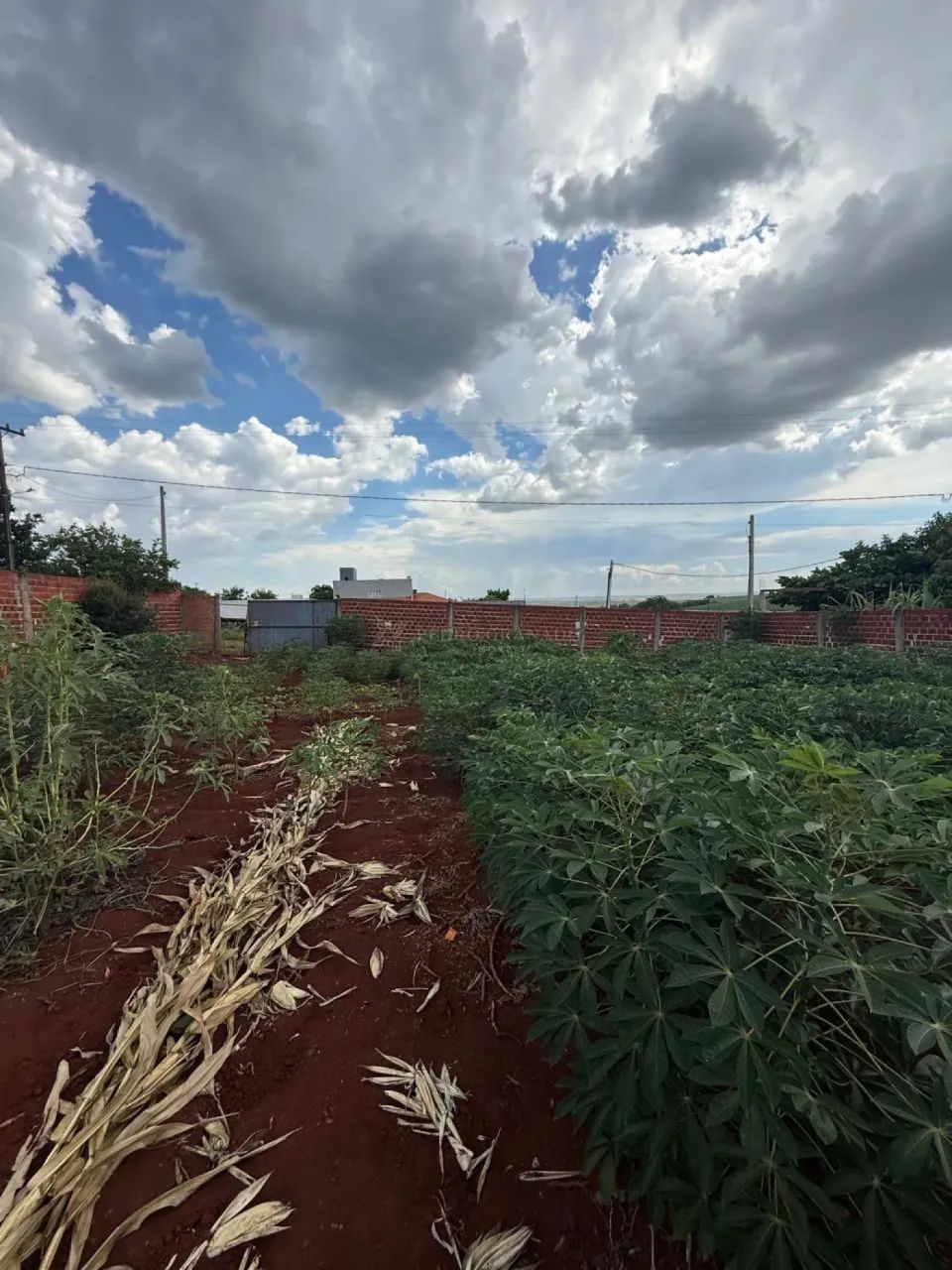 Recanto Cuca Fresca / Iguaraçu - Foto 4