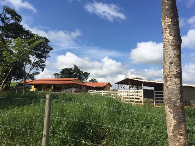 Fazendinha - Foto 3