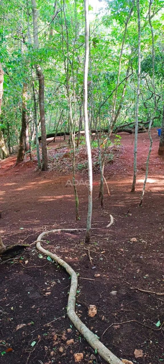 Lote em condomínio de chácara - Foto 4