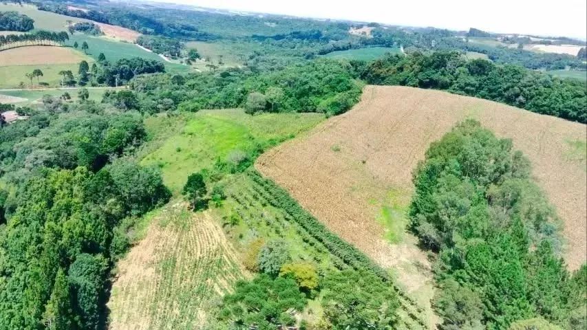 Chácaras em Contenda | A partir de R$ 61.800 | Até 72x para Pagar - Foto 7