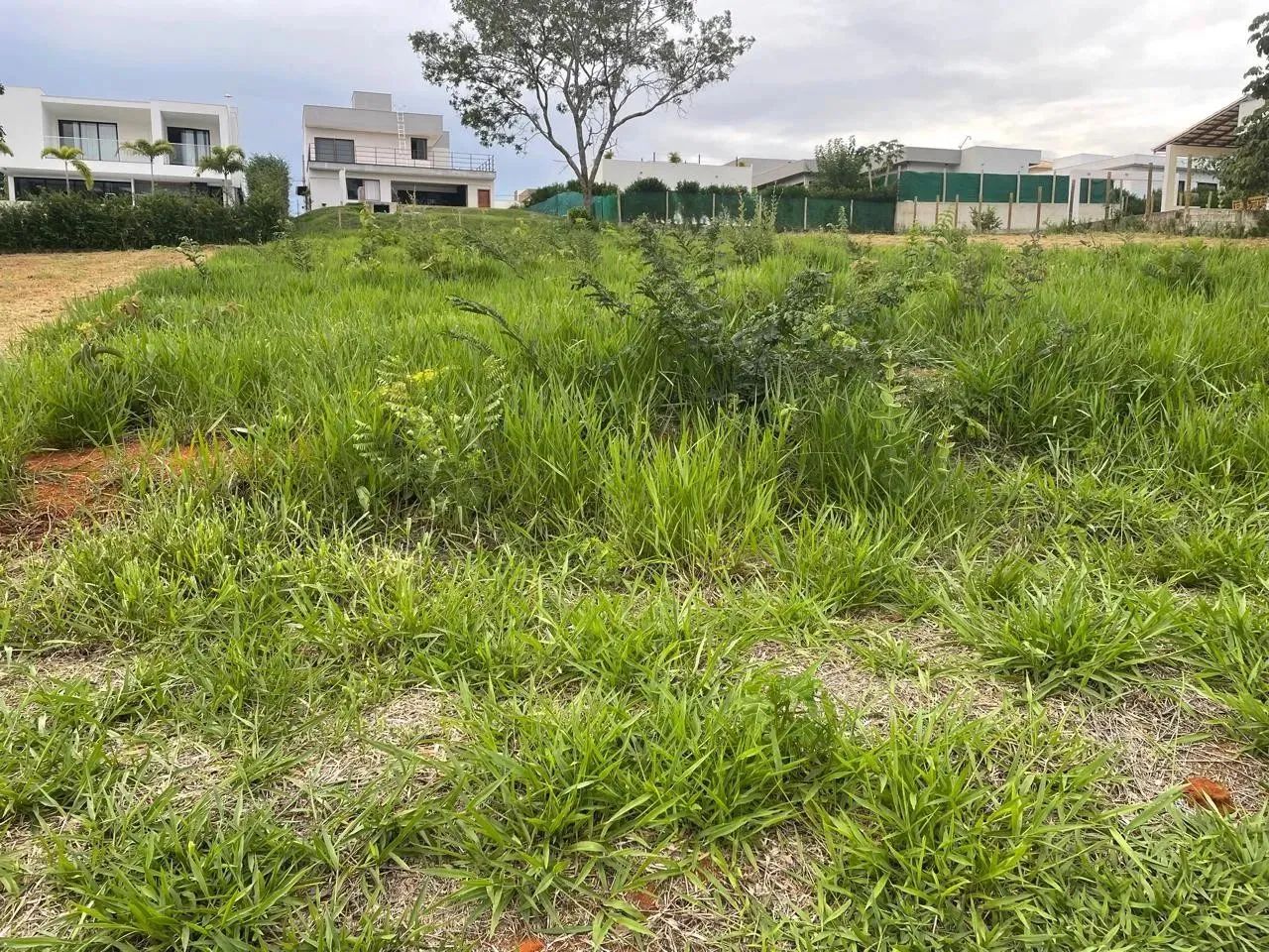 Lote em Condomínio Fechado para Venda em Lagoa Santa, Gran Royalle - Foto 8
