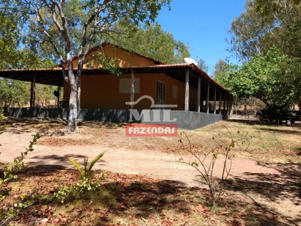 Fazenda 440 Alqueires (2.129 Hectares) Natividade - TO - Foto 5