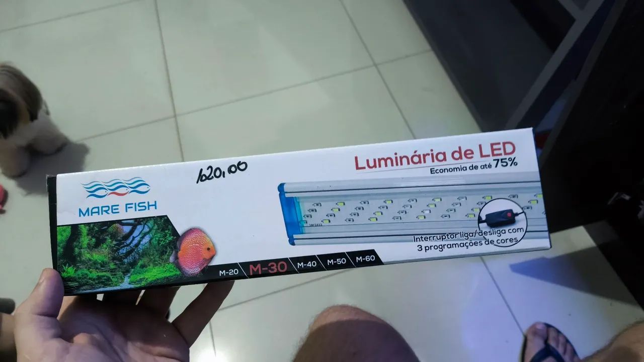 Aquário  - Foto 3