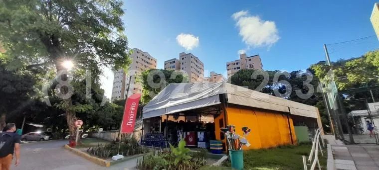 3 Quartos(Suíte) |59m²| Jardim São Paulo | OK - Foto 3