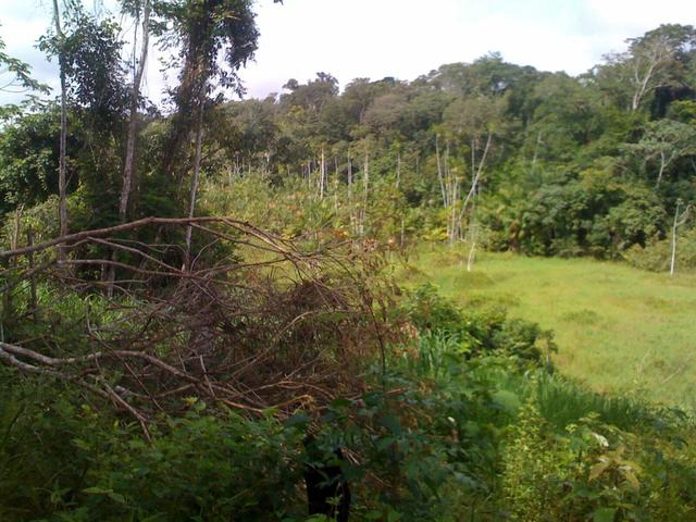 Zé Doca - Maranhão: Vendo Propriedade Rural - Foto 3