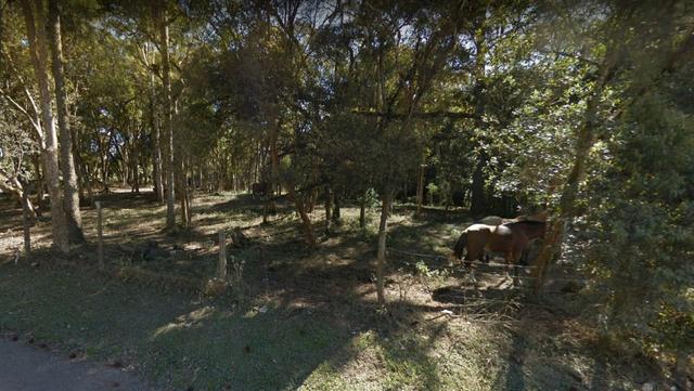 Área Urbana de Esquina com 4.000m² em São José dos Pinhais - Foto 3