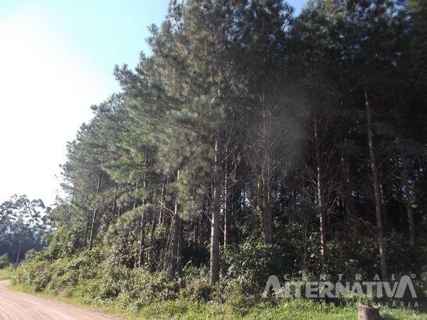 Chácara no ribeirão do zinco - Foto 3