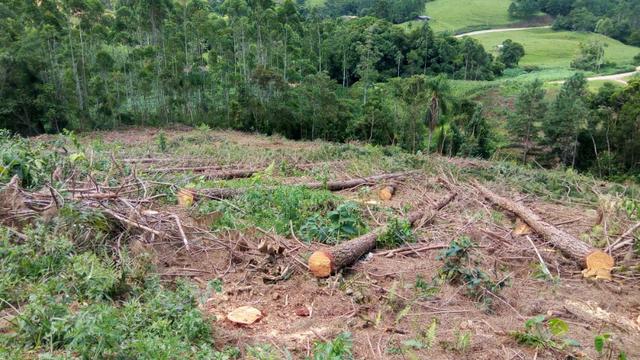 Sítio com área 183.477m², nascente, muita natureza, privacidade. Confira - Foto 8