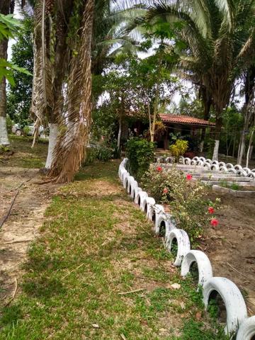 Preço imperdível !!! Vendo Sítio em bacabeira pronto para plantio e criação de galinhas