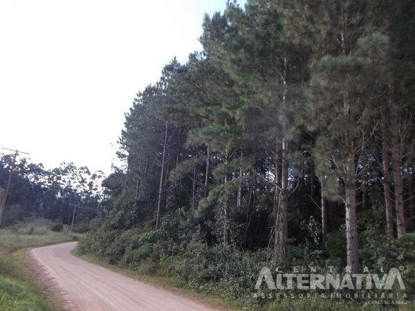 Chácara no ribeirão do zinco - Foto 9