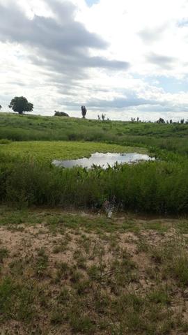 Fazenda Em Lamarão - Foto 4