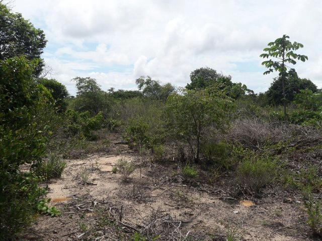 Terreno 20x50m. na Lagoa do Bomfim - Foto 4