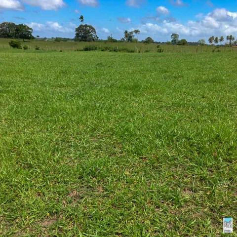 Excelente Fazenda em Amélia Rodrigues - Bahia - Foto 2