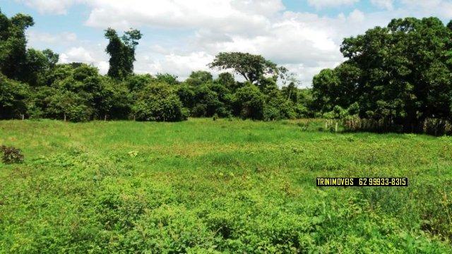 Fazenda de 13 alq. em Trindade - Foto 20