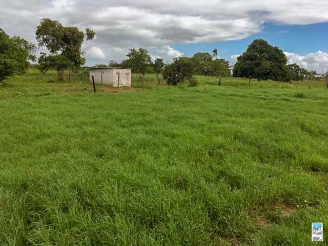 Excelente Fazenda em Amélia Rodrigues - Bahia - Foto 8