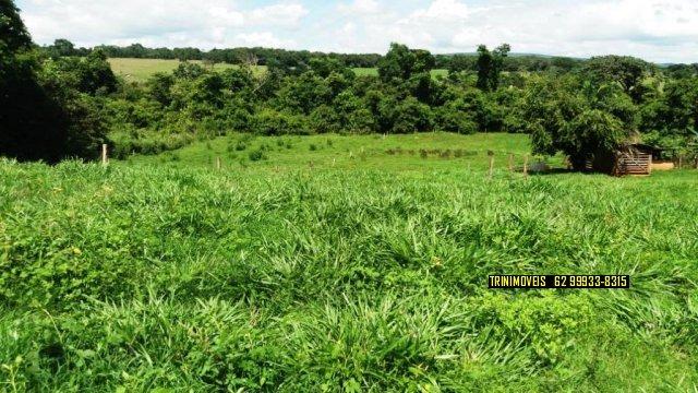 Fazenda de 13 alq. em Trindade - Foto 19