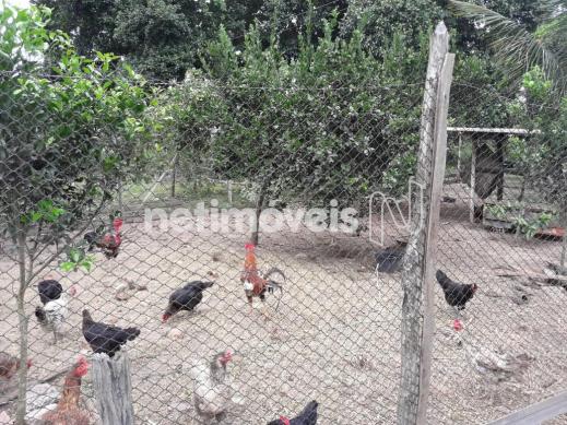 Terreno à venda em Fazenda, São gonçalo dos campos cod:720362 - Foto 13