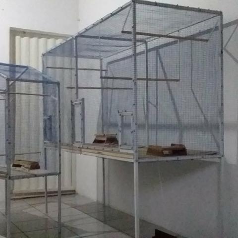 Gaiolas viveiros de todos os tamanhos pague parcelado no cartão - Foto 2