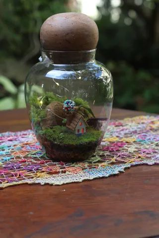 Terrários e Mini Jardins - Foto 3