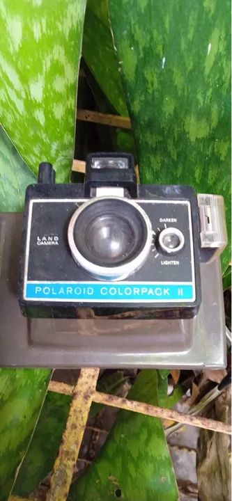 Lote de 2 Polaroids
