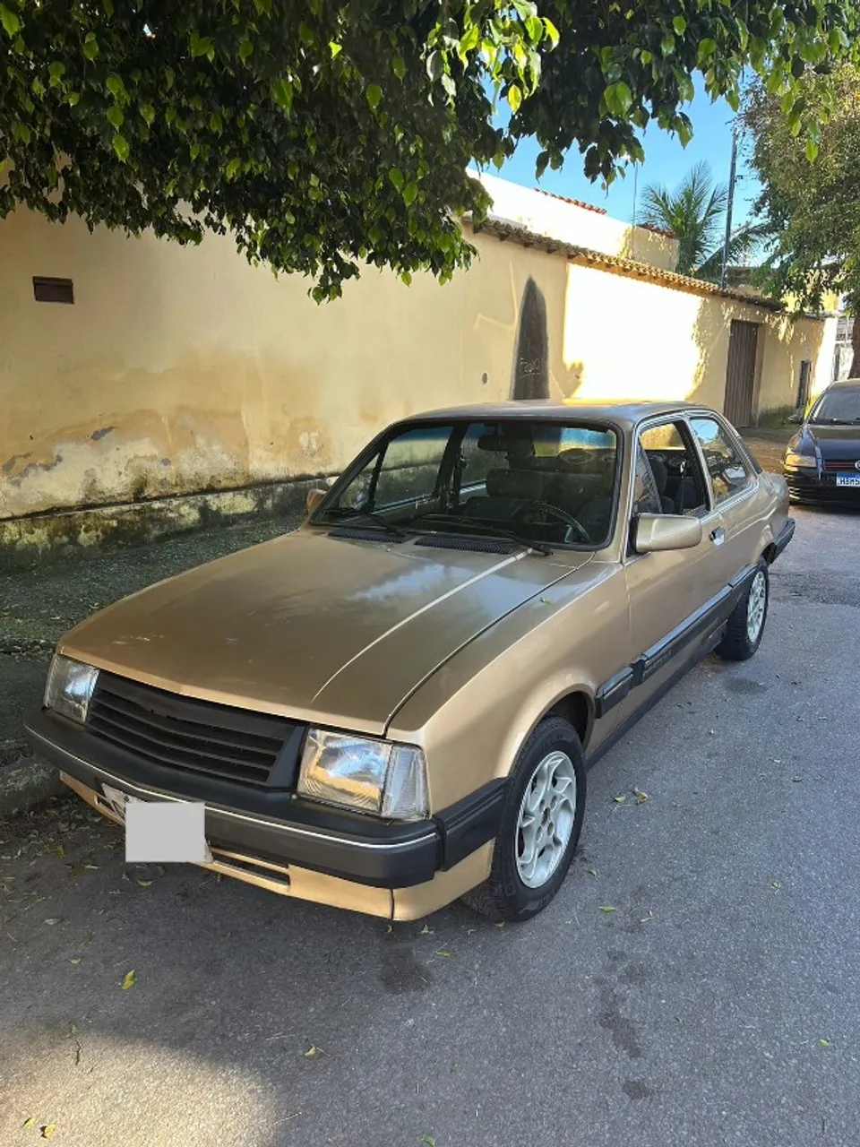 Chevrolet Chevette 1989 Usados e Novos