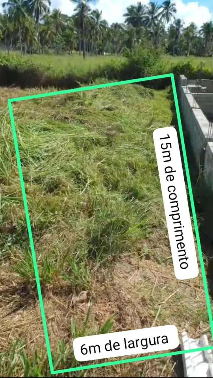 Terreno na barra de Santo Antônio. Praia de Tabula. 300m da praia