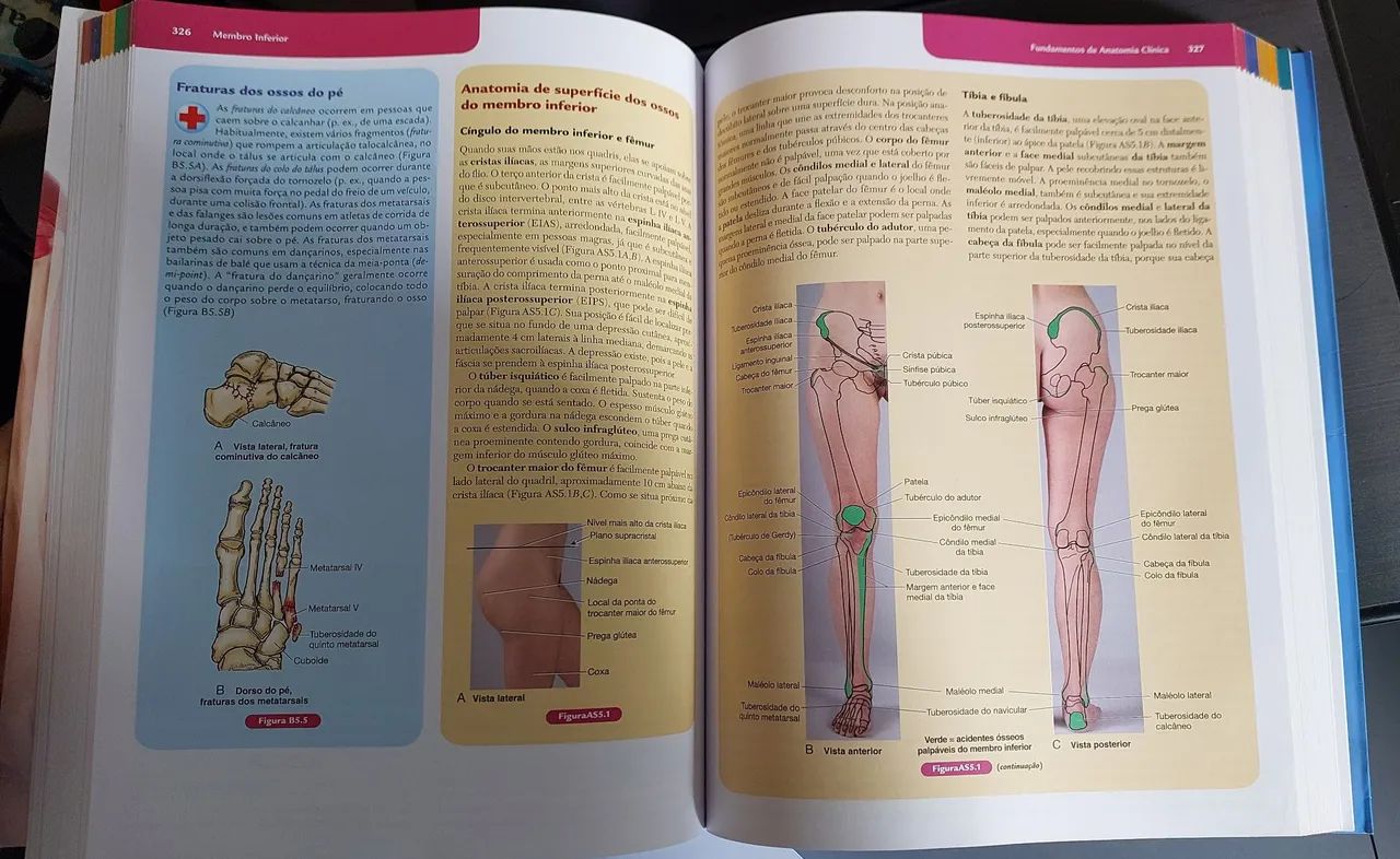 Combo livros - Anatomia clínica + Histologia básica  - Foto 3