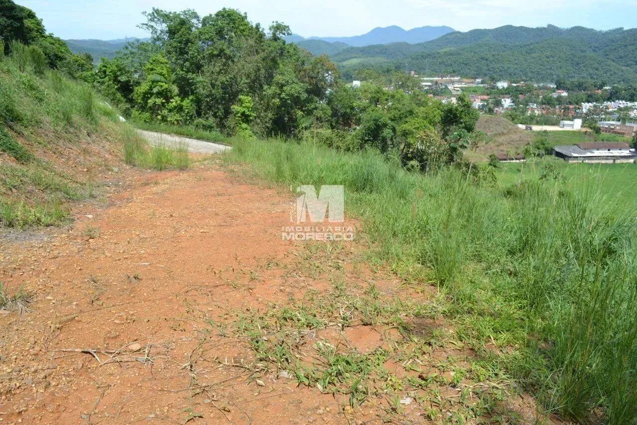Terreno à venda no bairro Dom Joaquim - Foto 3