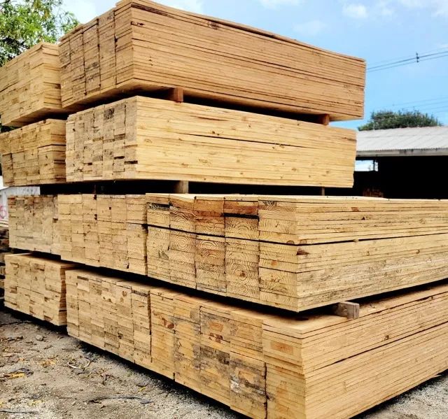 Pinus melhor preço - Foto 3