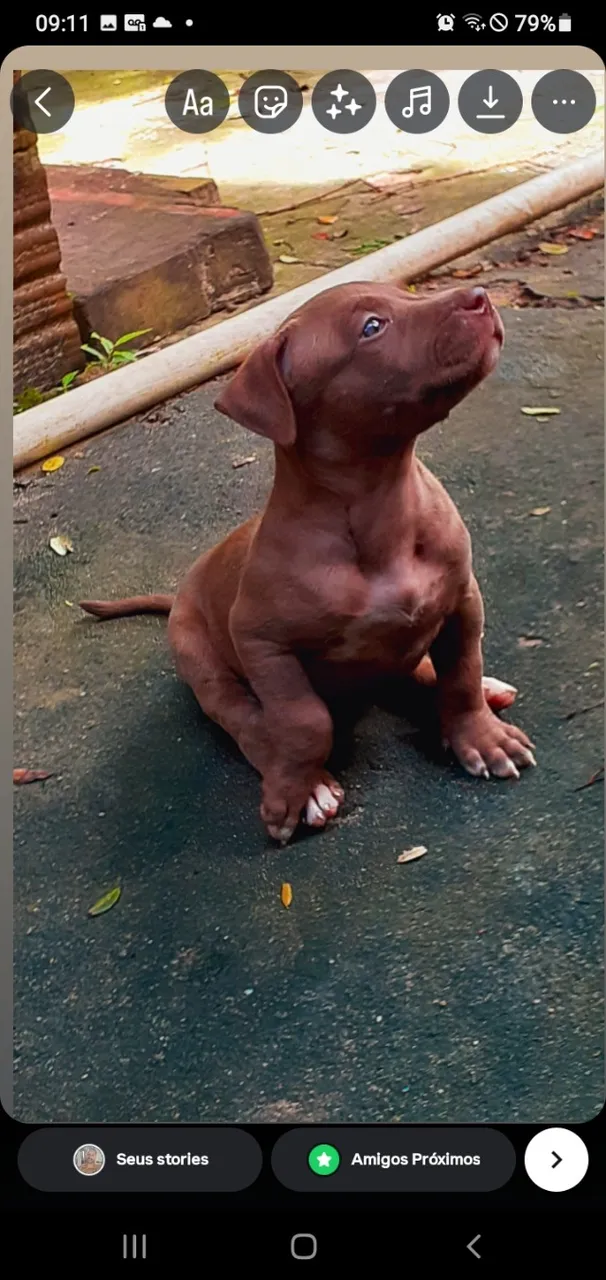 Pit monster 
