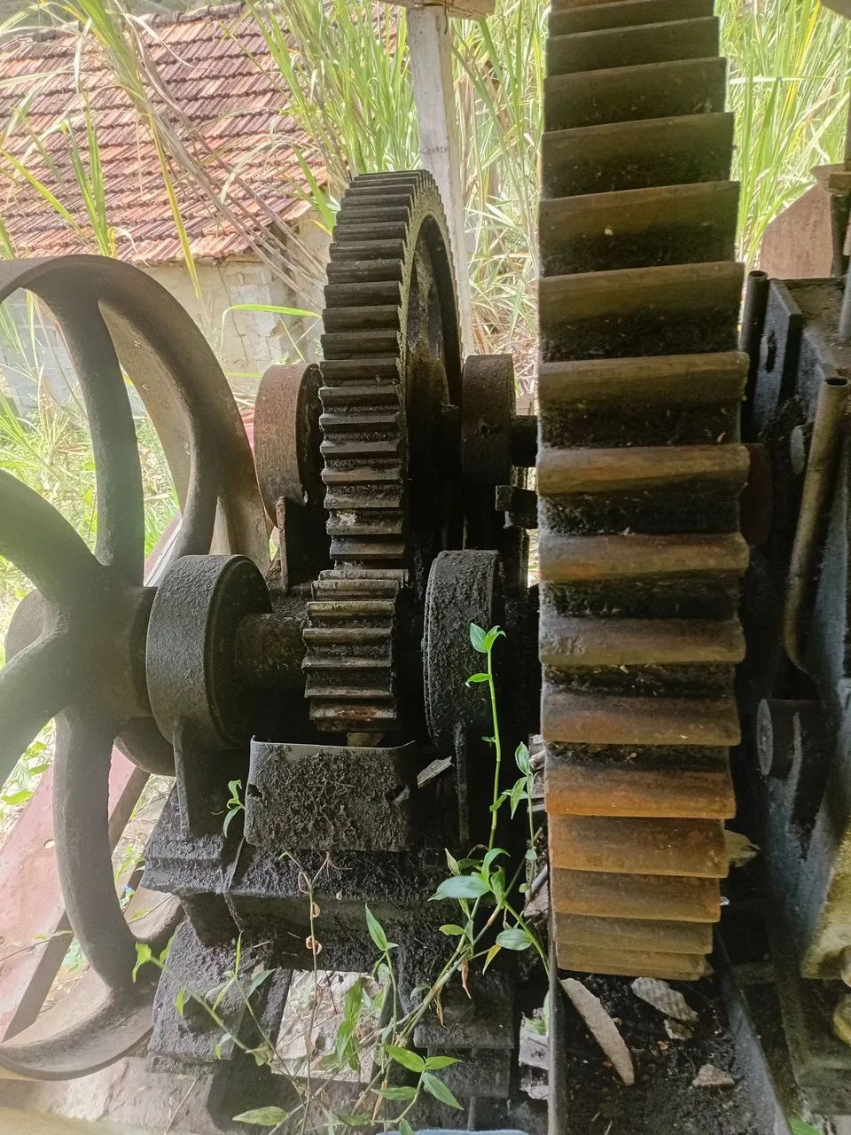 Sugar cane mill64304159079042121