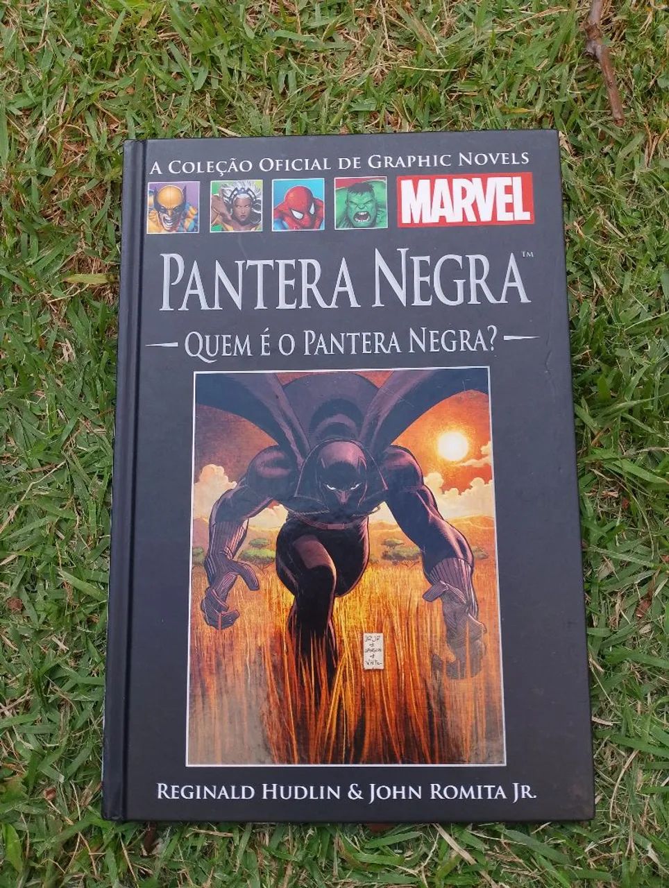 Pantera Negra - Quem é o Pantera Negra? 