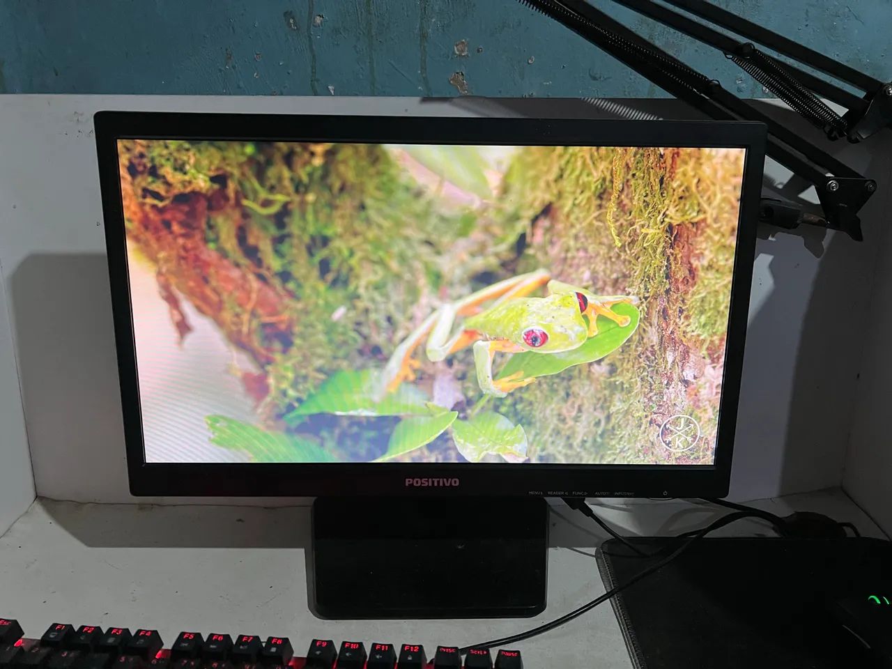 Positive 19 Inch Monitor PERFECT!!!64264604312705122