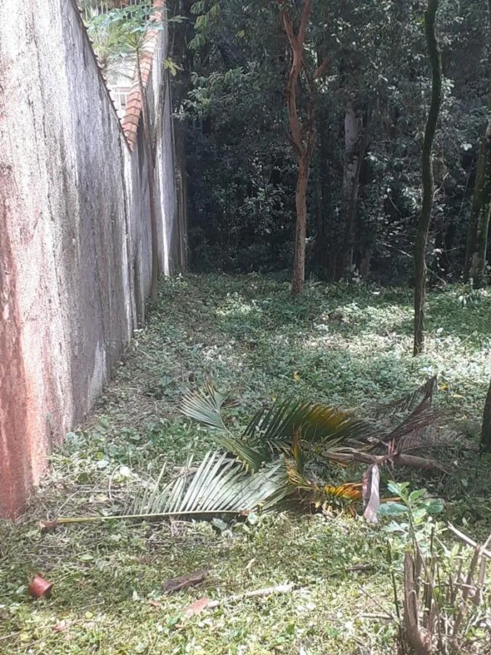 Terreno em Condomínio para Venda em Santana de Parnaíba, Tarumã - Foto 5