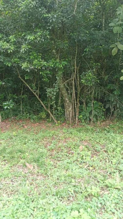 Terreno à venda na Praia do Estaleiro em Balneário Camboriú! Oportunidade! - Foto 2
