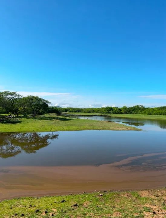 Fazenda Caninde com 51 hectares oportunidade
