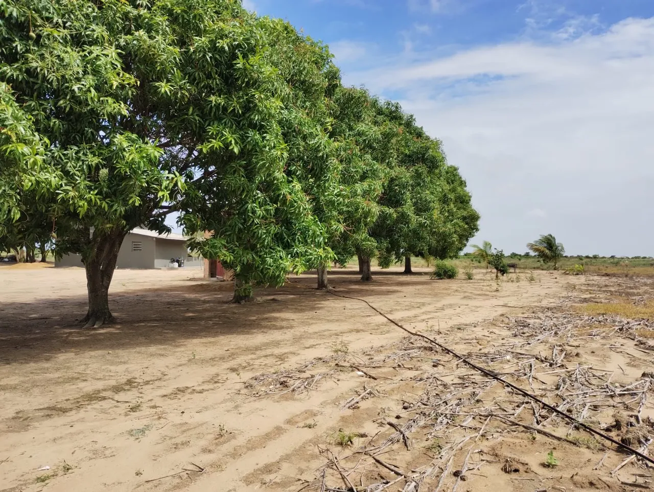 Vende-se Sítio na região do água boa há 28 km de Boa Vista