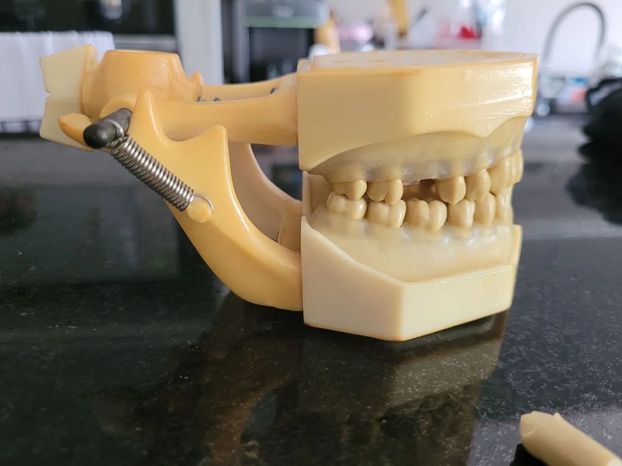 manequim periodontia - Foto 4