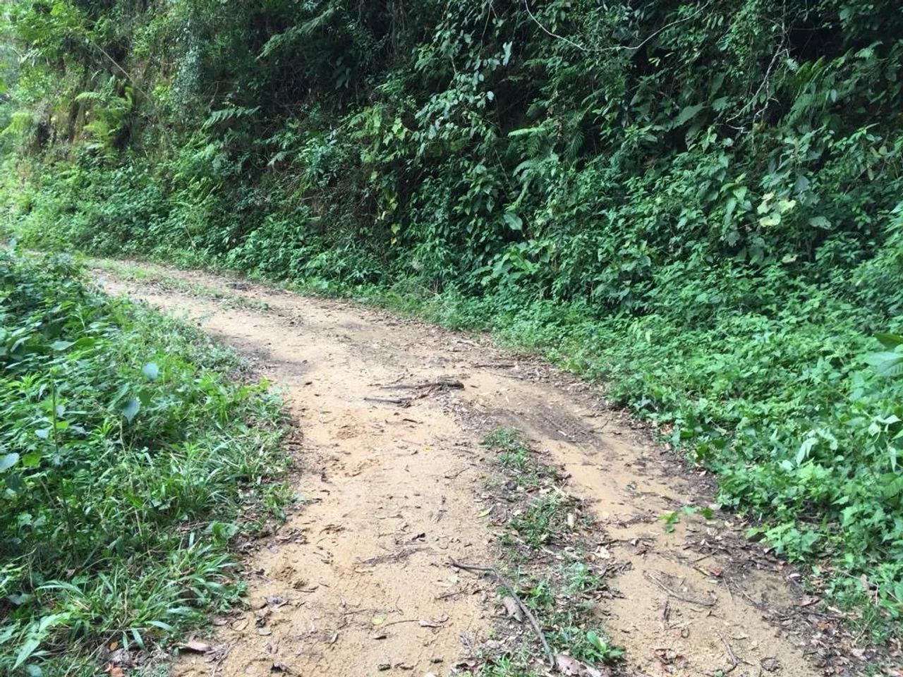 Sítio em São Bonifácio  - Foto 3