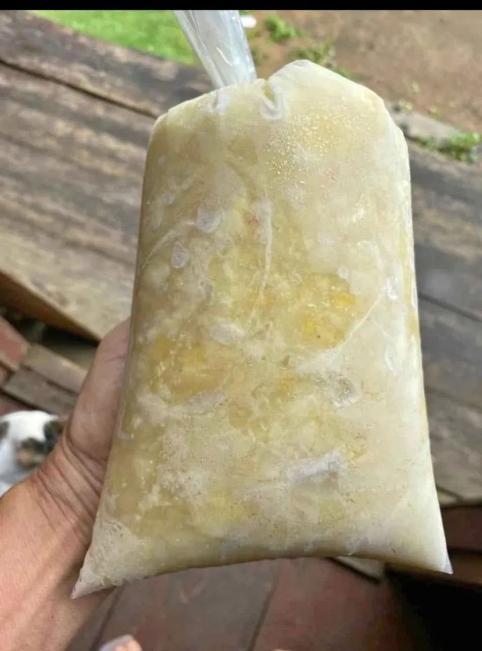 Polpa de cupuaçu 13,00