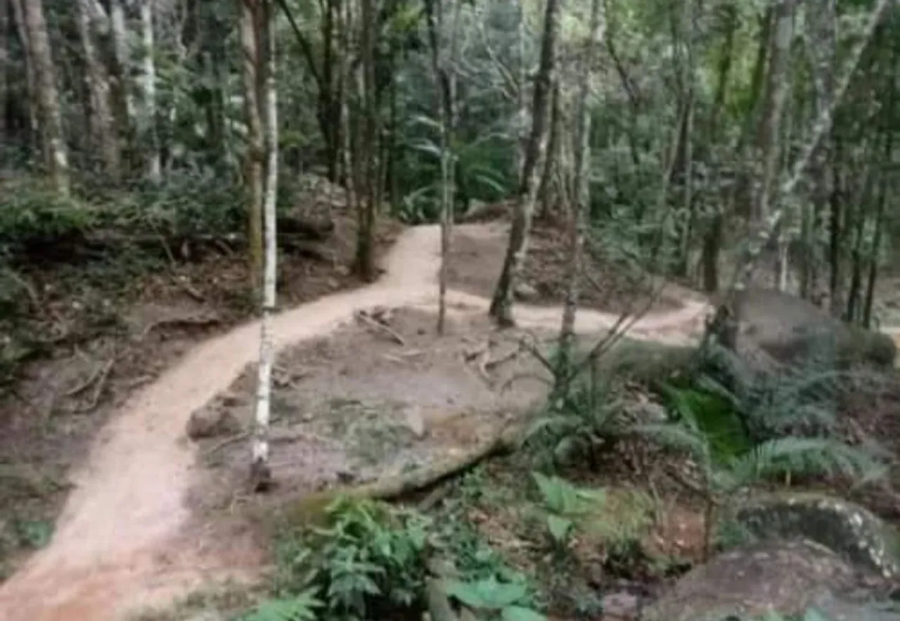 EXCELENTE SITIO COM 30.000M² EM PARAJÚ, DOMINGOS MARTINS ES.
