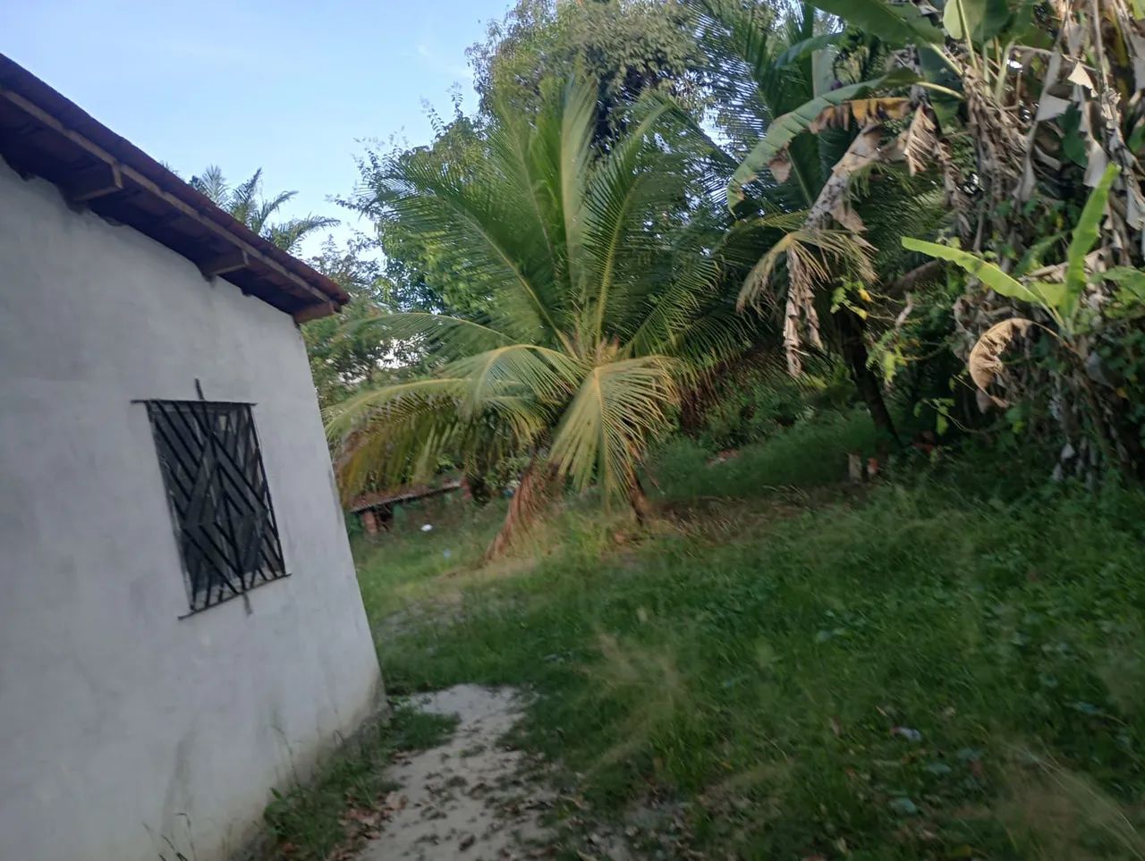 Vendo sítio em Camaragibe  - Foto 15