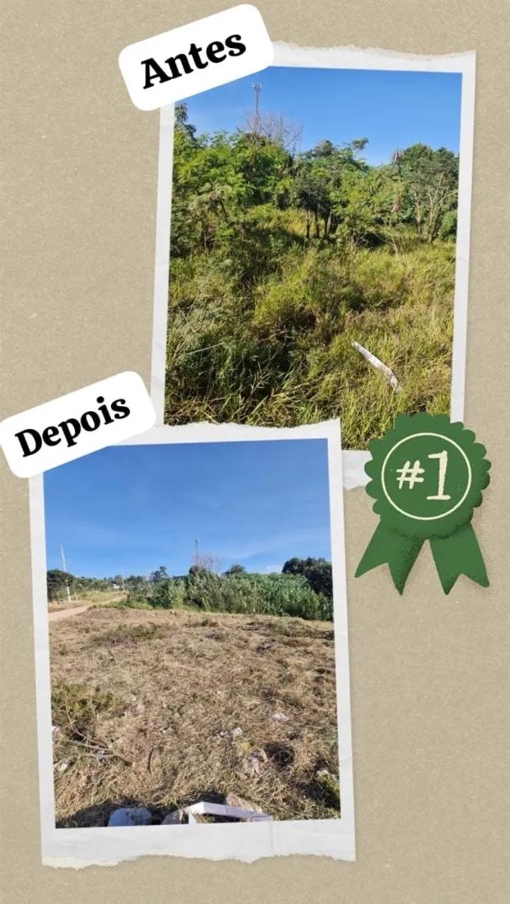 Limpeza de terrenos e lotes - Foto 5